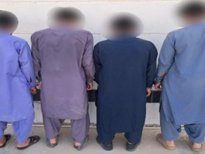 دستگیری باند سارقان احشام در زهک