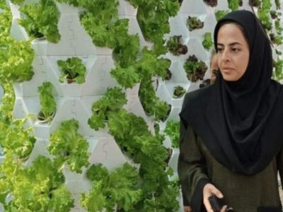 صدور مجوز فعالیت در طرح کولبری