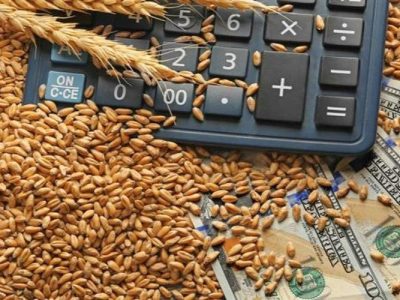 ثبت رکورد ملی واردات گندم در چابهار