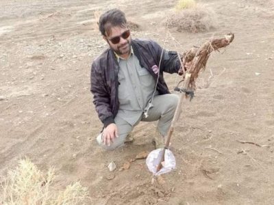 عملیات ویژه محیط زیست برای صیانت از پرندگان