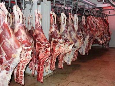 ظرفیت‌ ممتاز تأمین گوشت کشور در سیستان‌وبلوچستان