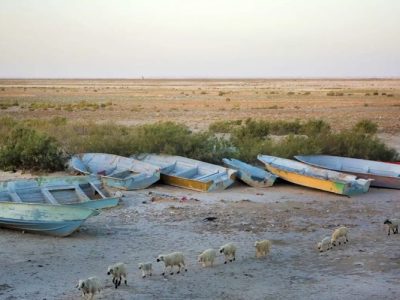 خشکی هامون، چرخ معیشت سیستان را متوقف می‌کند