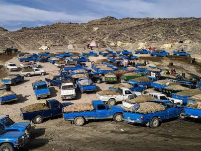 توقیف خودروهای سوخت‌کش در مرزهای سیستان‌وبلوچستان