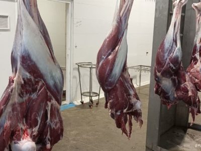 تجهیز کشتارگاه‌ها و شرکت‌های گوشتی به ژنراتور برق