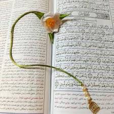 شروع صبح با یک صفحه از قرآن کریم