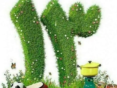 سیزده‌به‌در سبز با کاهش زباله و مهار آتش