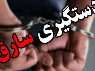 دستگیری سارق اماکن دولتی در هامون