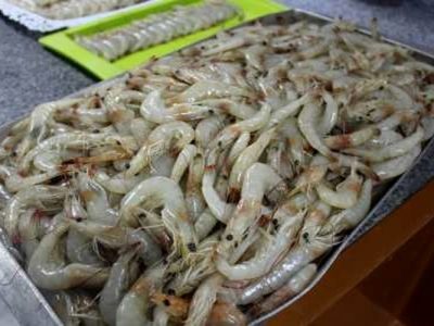 سیستان، خاستگاه فرصت‌های نوین اقتصادی