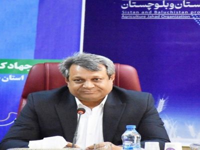 جذب ۹۶ درصدی اعتبار تعهدی «نوی‌پو» نهاده‌های دامی