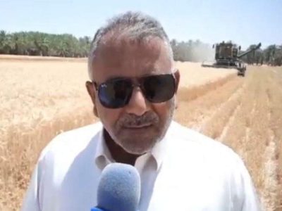 سطح زیر کشت گندم ۵۰۰۰ هکتار اراضی ایرانشهر