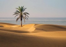 درک میزبان تور ملی تولید محتوا