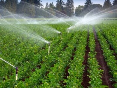 حمایت ۸۵ درصدی دولت به سامانه‌های نوین آبیاری