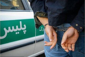 شناسایی و دستگیری سارق اماکن دولتی در هامون
