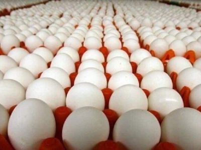 کشف ۵ تن تخم‌مرغ قاچاق توسط تکاوران قرارگاه عمار