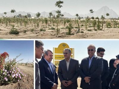پارک جنگلی زاهدان الگویی برای مدیریت بهینه آب