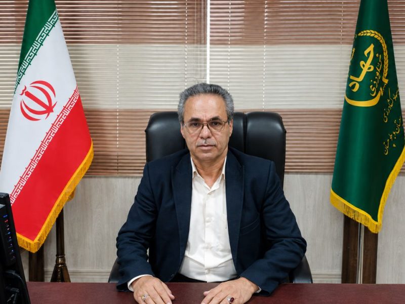 رشد ۶۹.۸ درصدی گلخانه‌های هامون