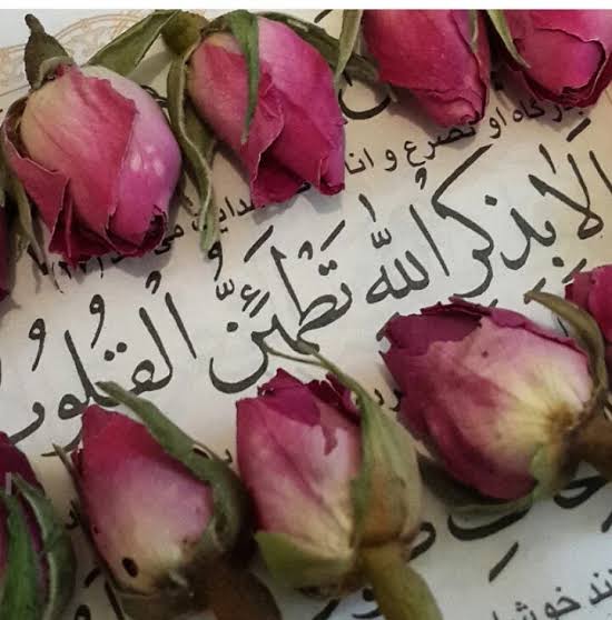 شروع صبح با یک صفحه از قرآن کریم