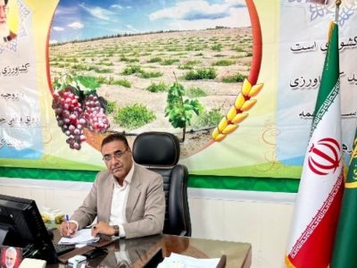 پرورش شترمرغ؛ مسیر توسعه اقتصاد روستایی زهک