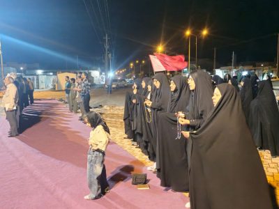 موج ۲۱۹ جانفدایان ایران در هامون