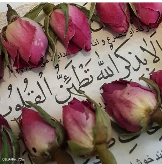 شروع صبح با یک صفحه از قرآن کریم